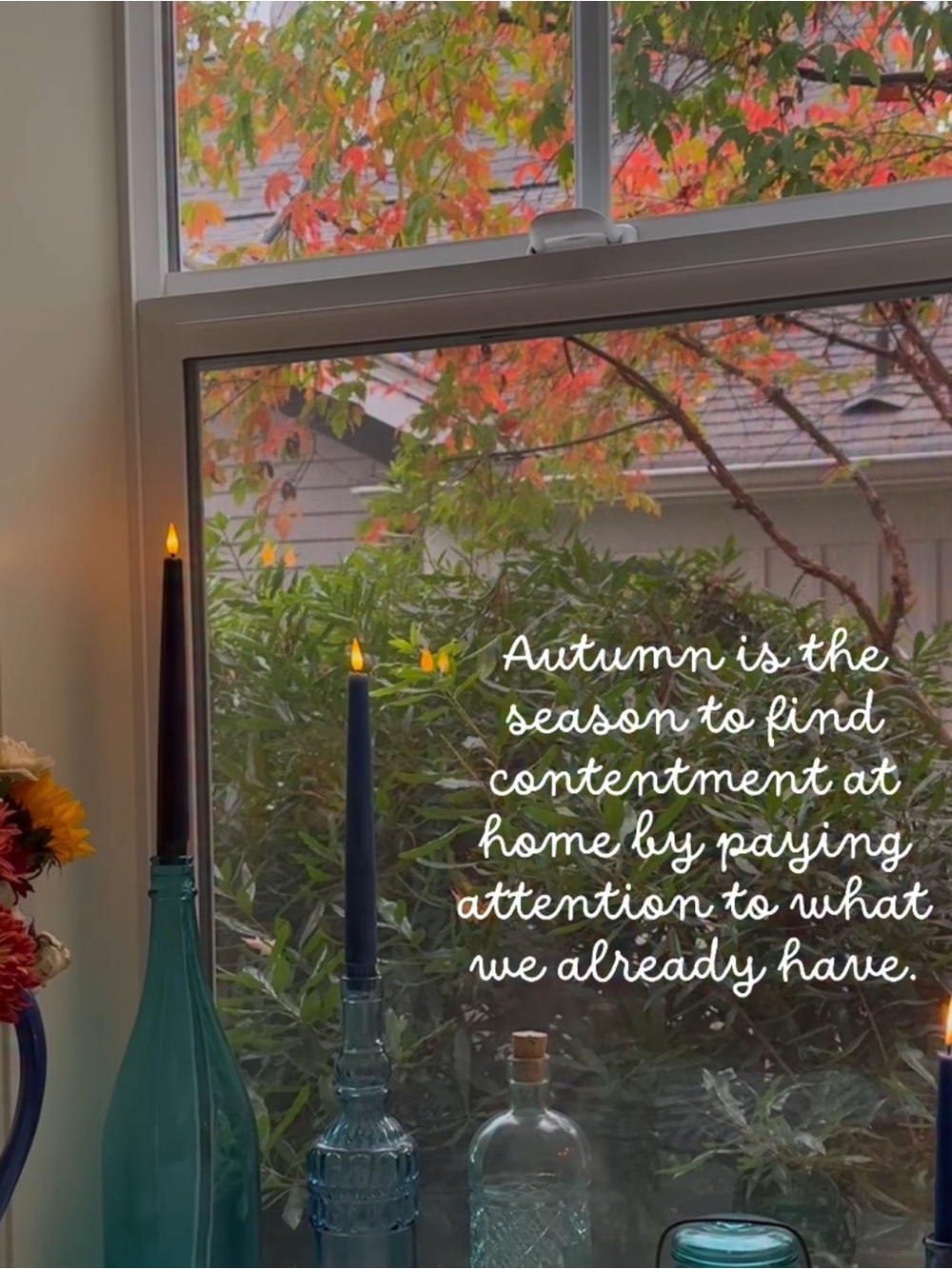 Autumn is Here 🍂🍁